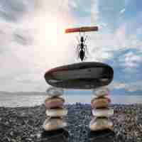 什‍么​叫‍网‍页﻿快﻿照‌和​网﻿页​